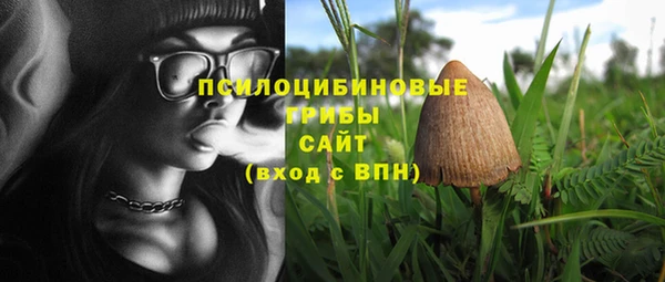 PSILOCYBIN Вязьма