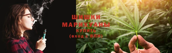 PSILOCYBIN Вязьма
