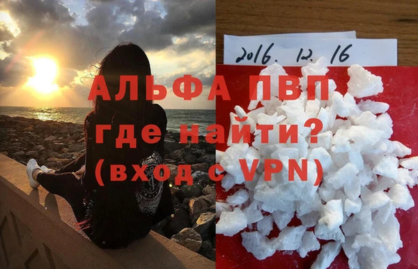 стафф Вяземский