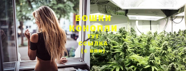 PSILOCYBIN Вязьма