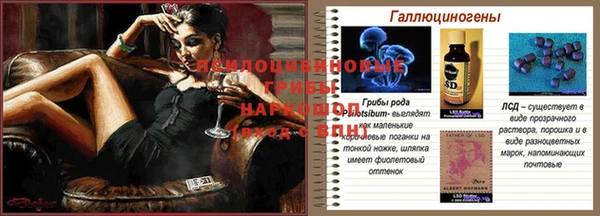 стафф Вяземский