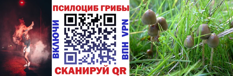 цены наркотик  Сочи  Псилоцибиновые грибы GOLDEN TEACHER 